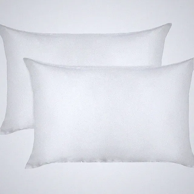 2 Pack 20x40 Inch Satin Pillowcase King Size Silky Pillow Cases for Hair andSkin